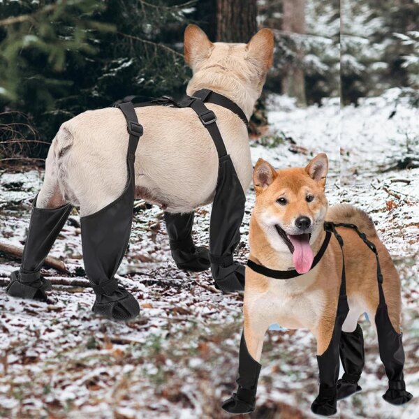 2025 Best Anti-Slip Dog Shoes Pet Paw Protector Dog Rain Booties, Dirty-proof & Anti-fall Dog Outdoor Dog Suspender Sock Shoes